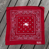 Rot